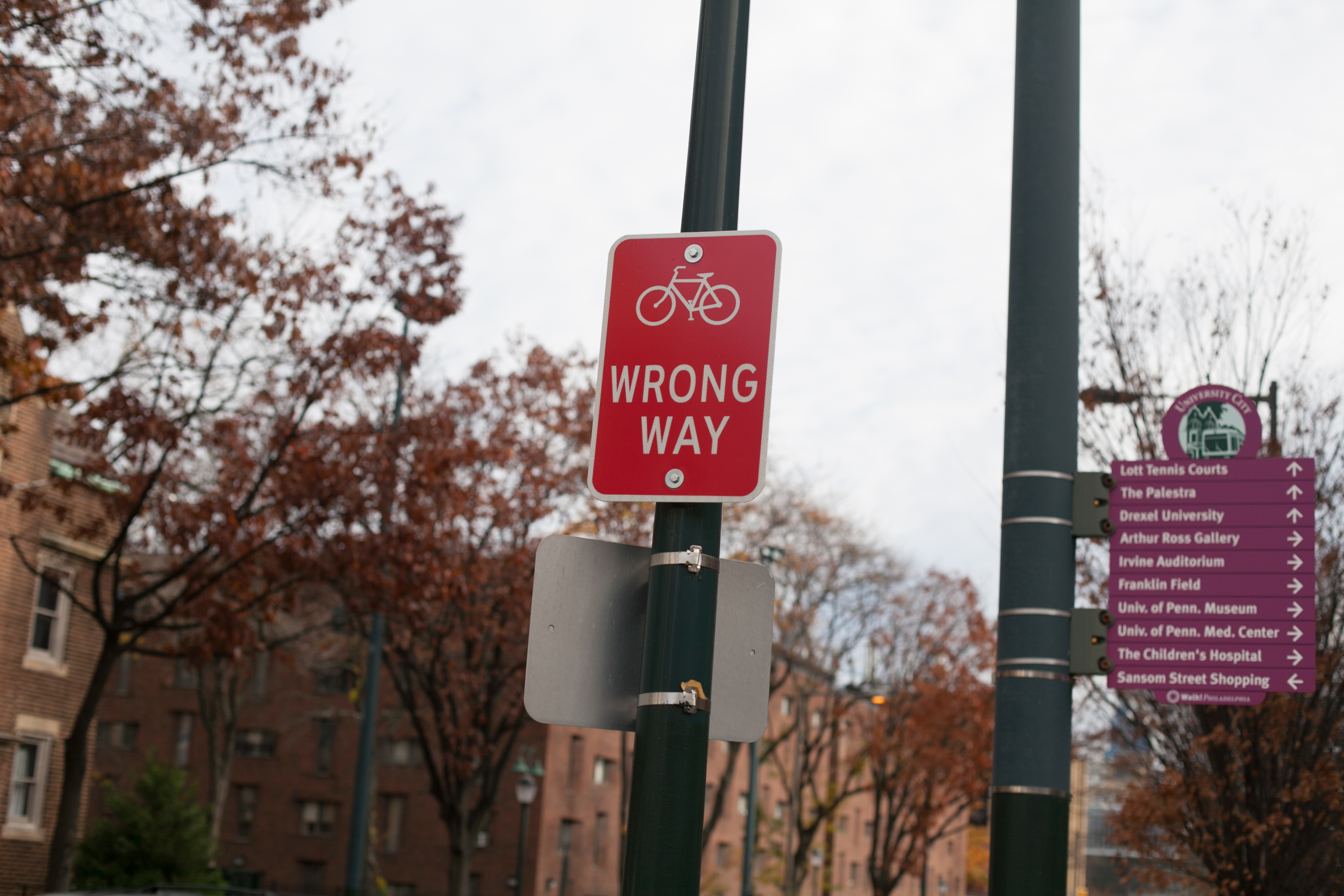 bike-laws-bicycle-coalition-of-greater-philadelphia